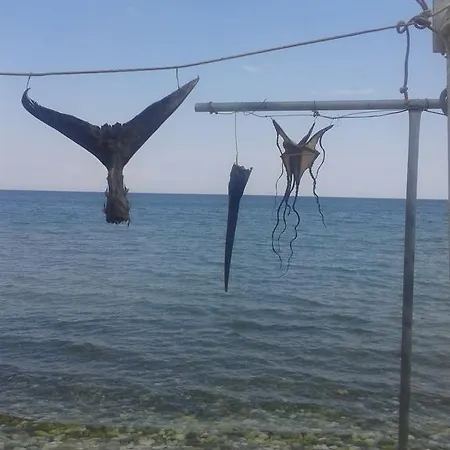 Julius * Constanta