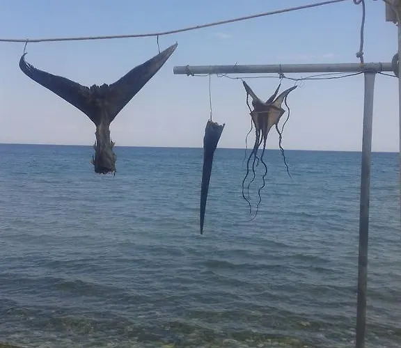 Julius 3* コンスタンツァ